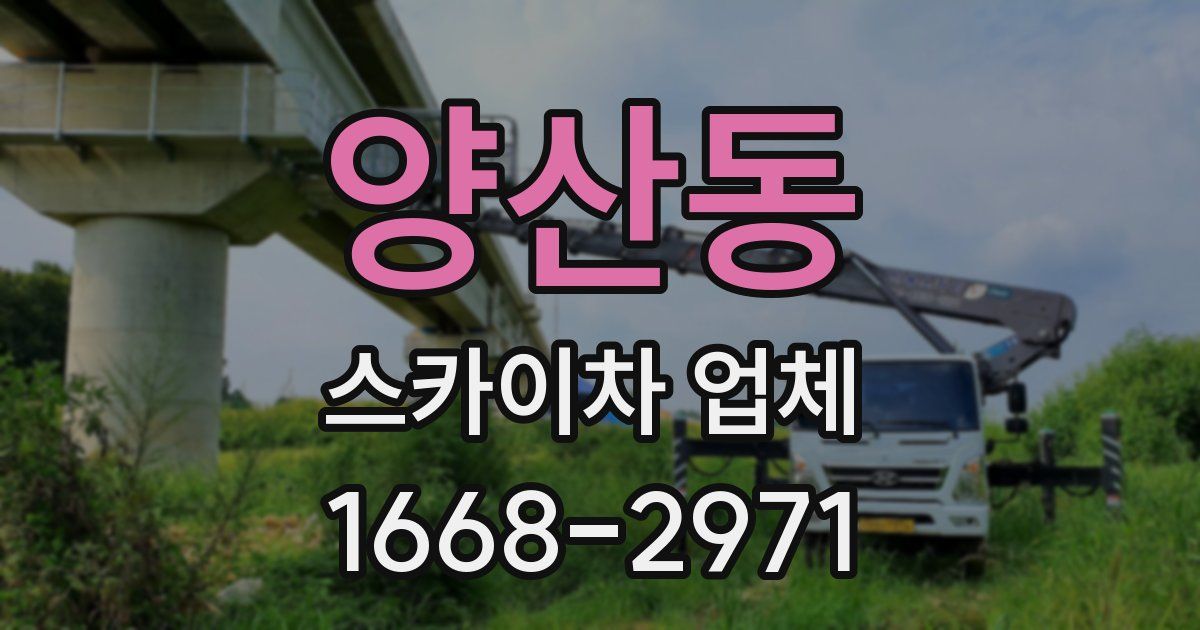 양산동 스카이차 업체