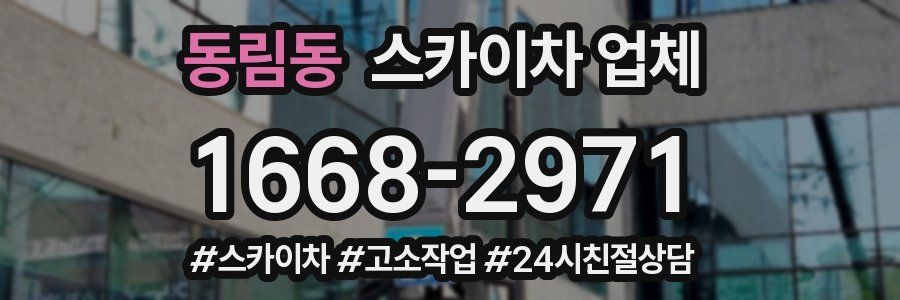 동림동 스카이차 업체