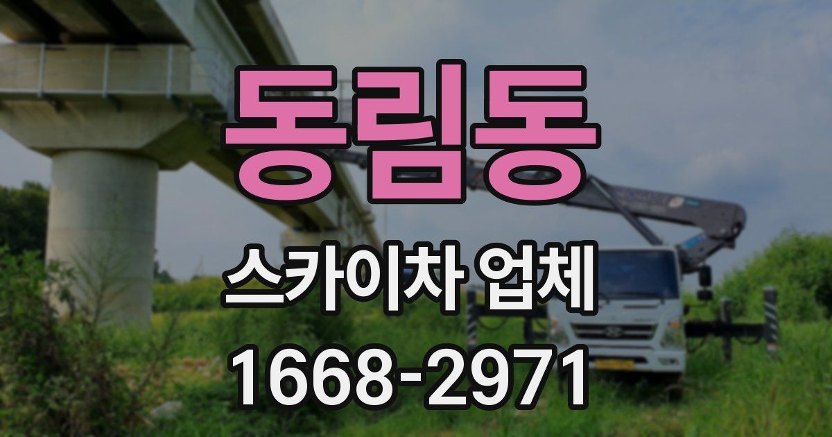 동림동 스카이차 업체