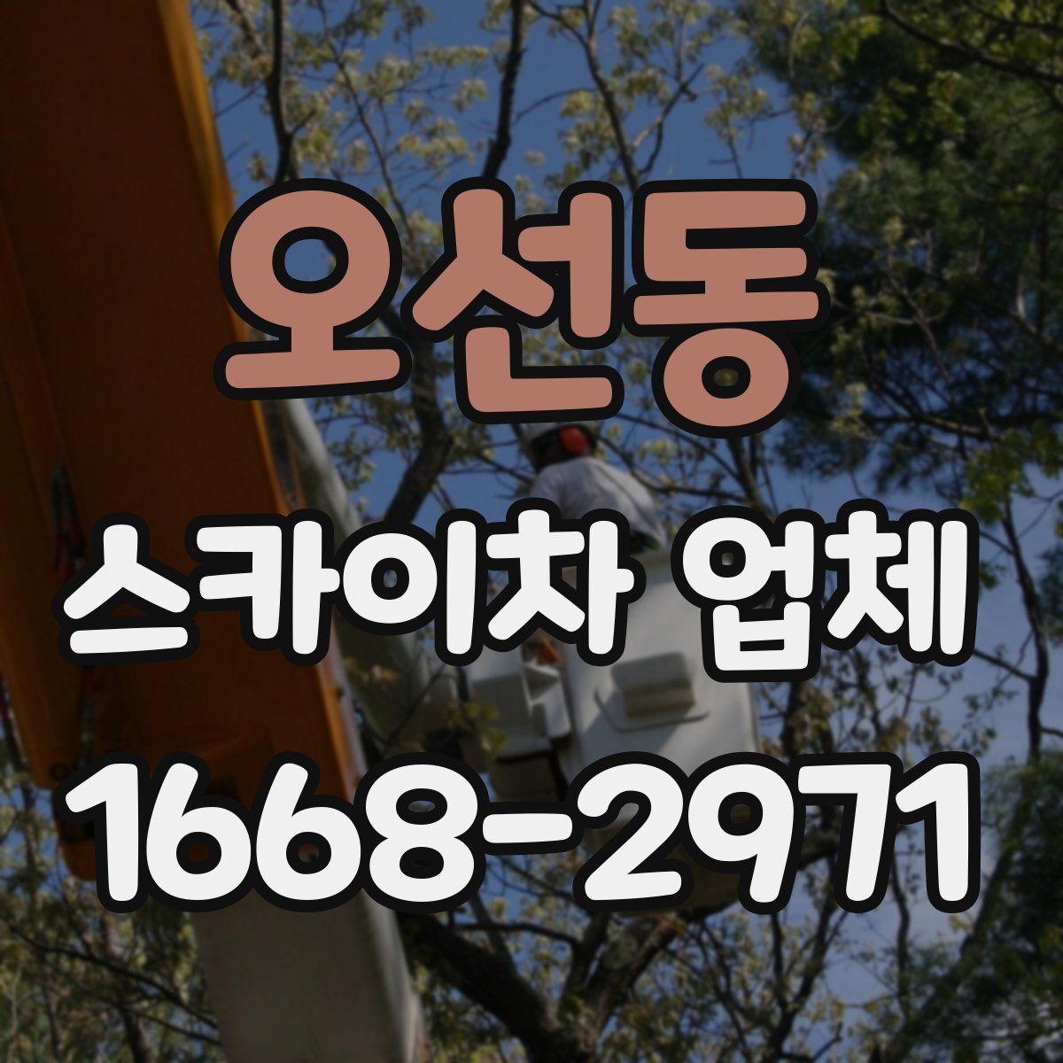 오선동 스카이차 업체