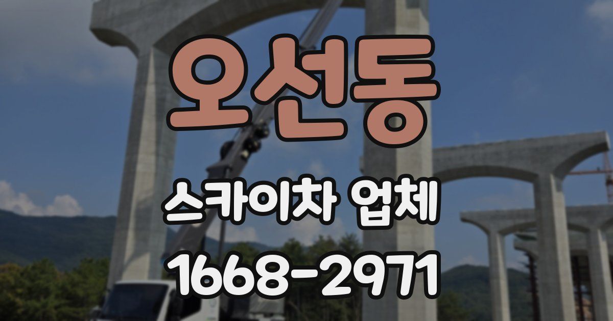 오선동 스카이차 업체