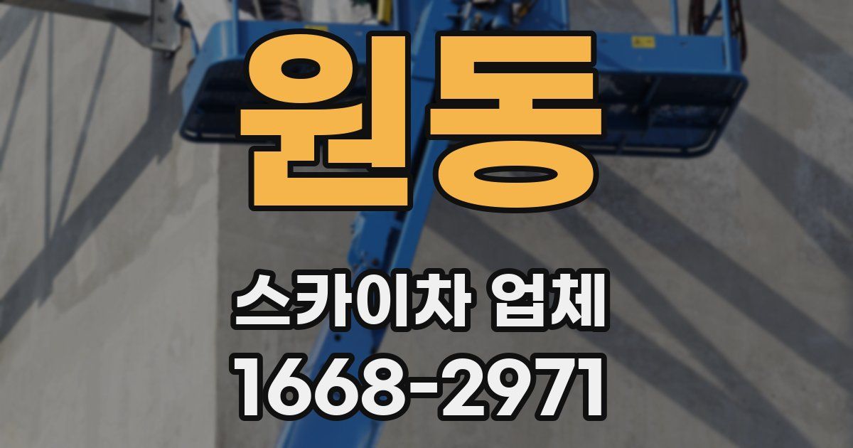 원동 스카이차 업체