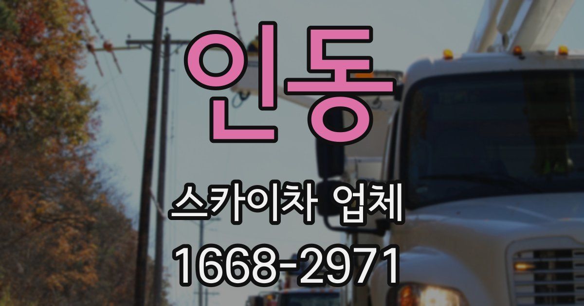 인동 스카이차 업체