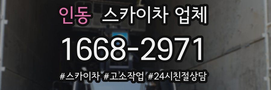 인동 스카이차 업체