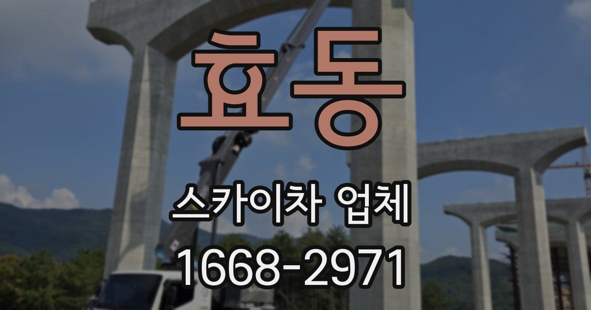 효동 스카이차 업체