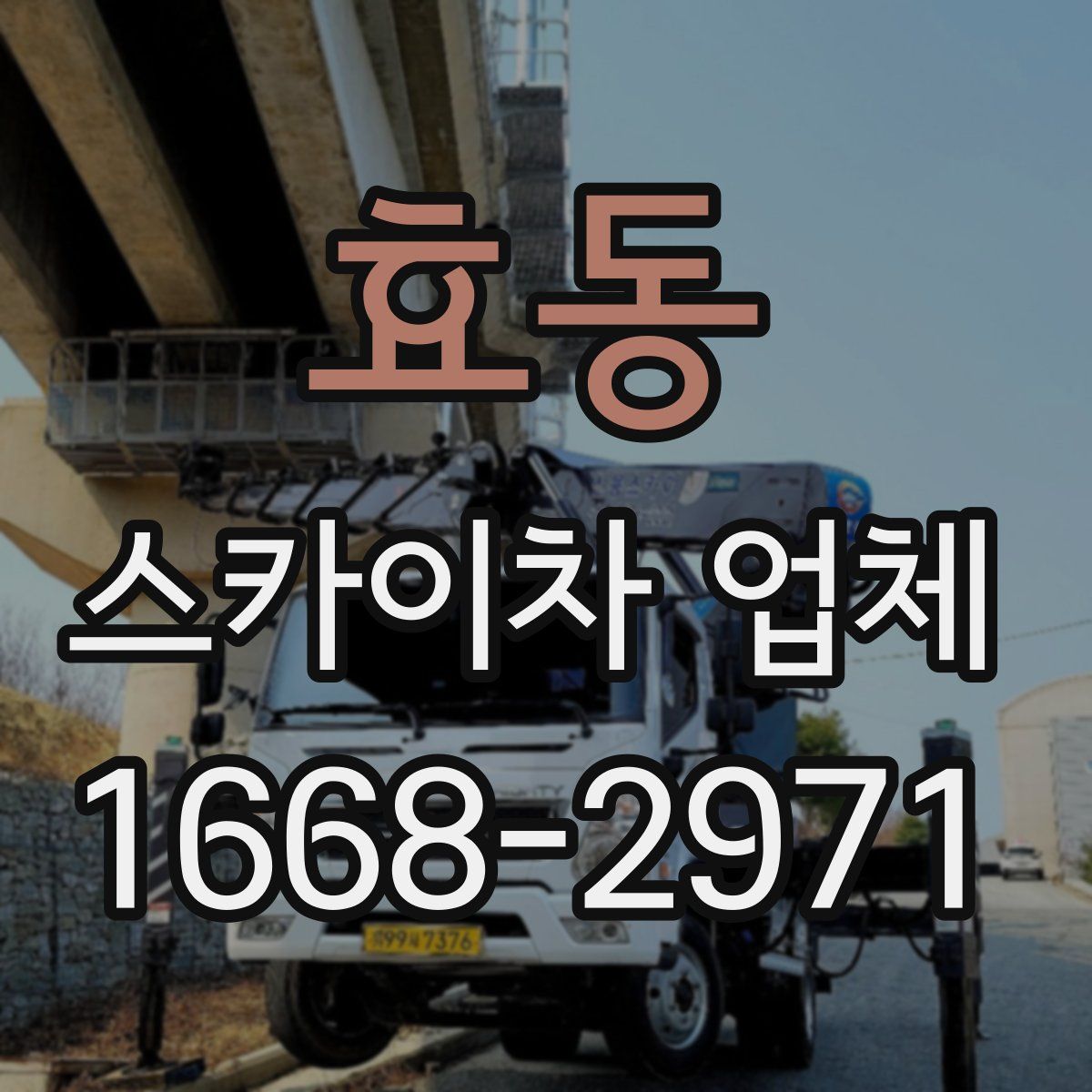 효동 스카이차 업체