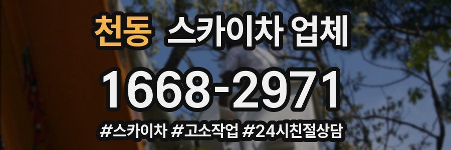 천동 스카이차 업체