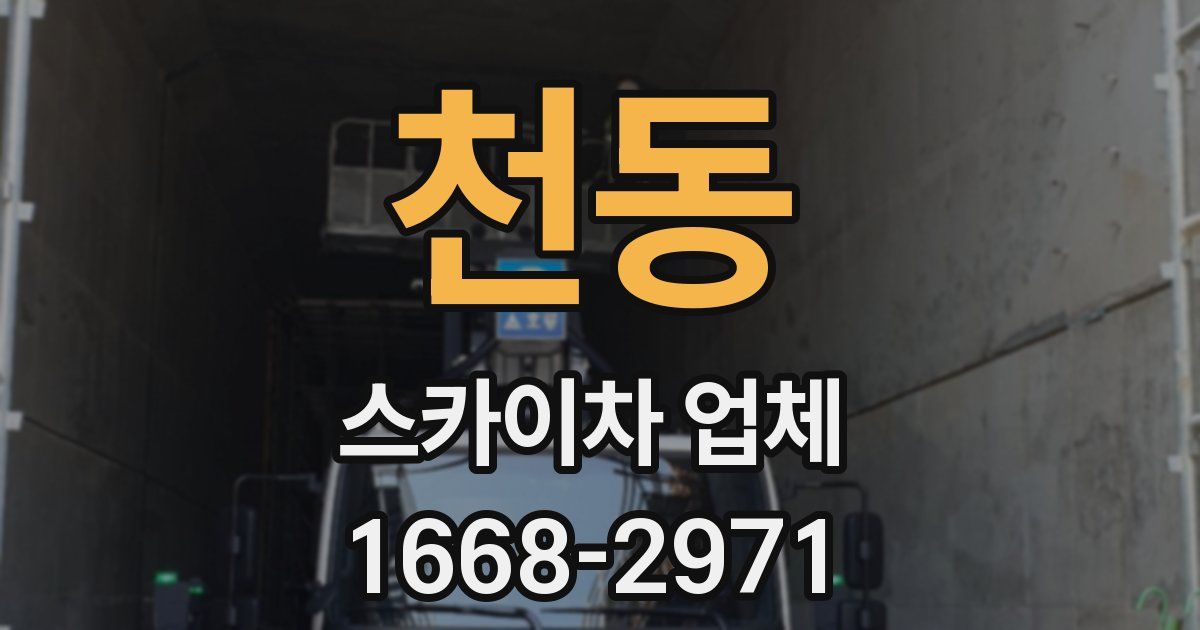 천동 스카이차 업체