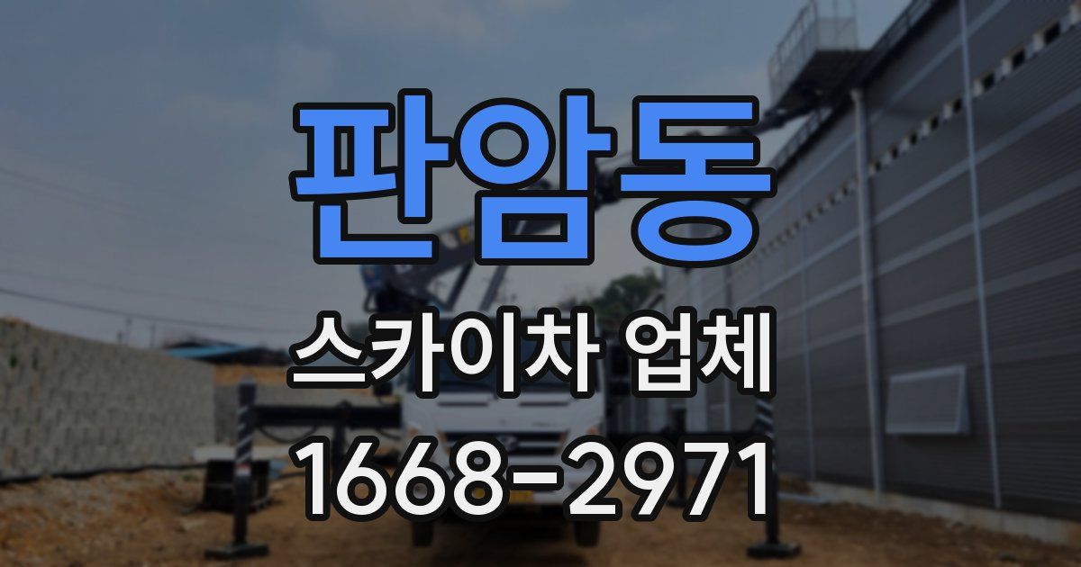 판암동 스카이차 업체
