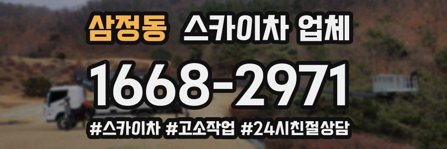 삼정동 스카이차 업체