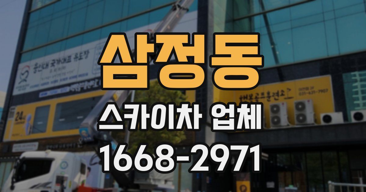 삼정동 스카이차 업체