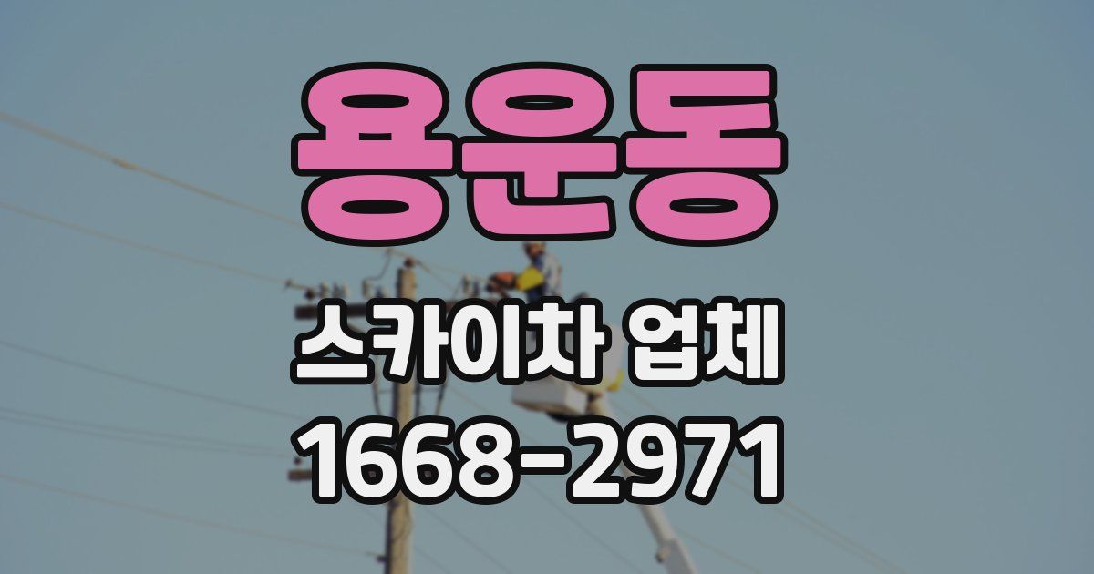 용운동 스카이차 업체