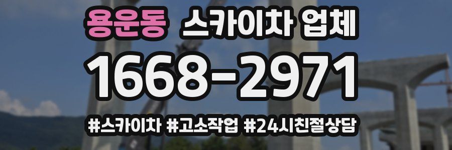용운동 스카이차 업체