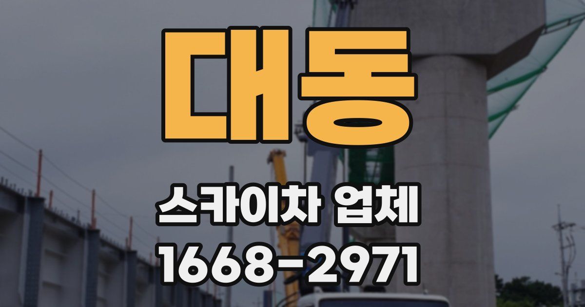 대동 스카이차 업체