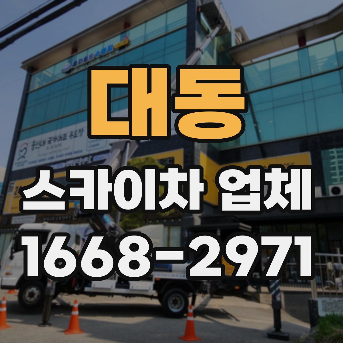 대동 스카이차 업체