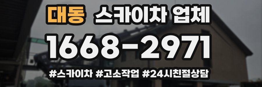 대동 스카이차 업체