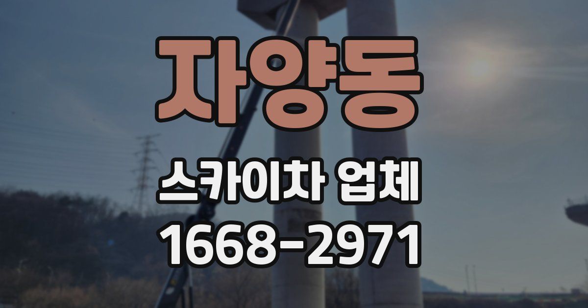 자양동 스카이차 업체