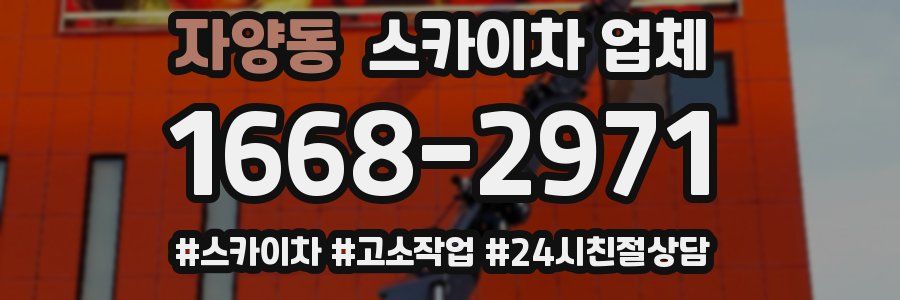 자양동 스카이차 업체