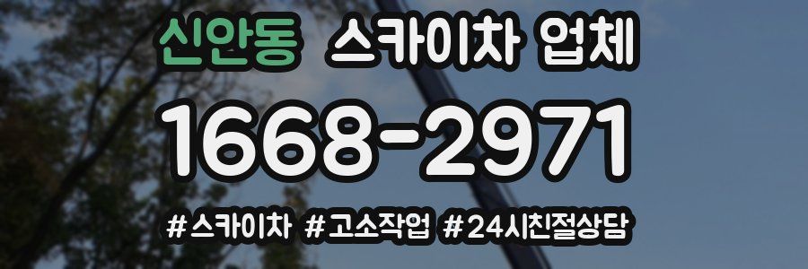 신안동 스카이차 업체