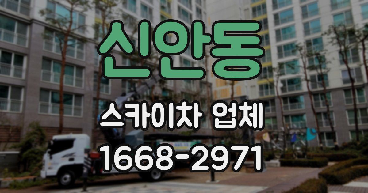 신안동 스카이차 업체