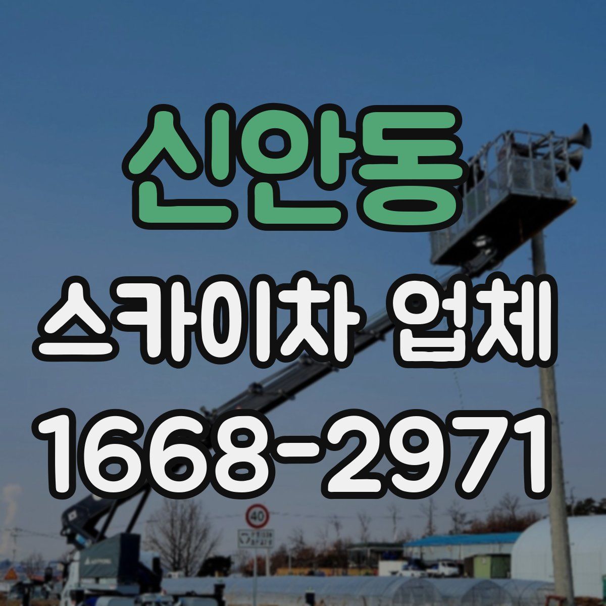 신안동 스카이차 업체