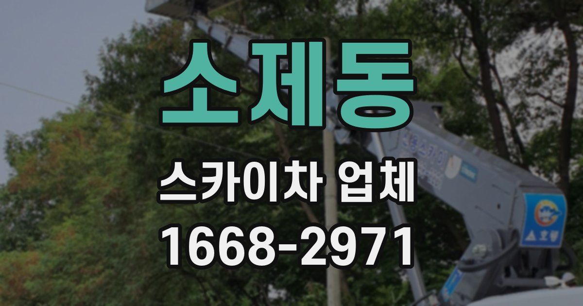 소제동 스카이차 업체