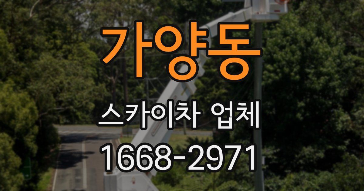 가양동 스카이차 업체