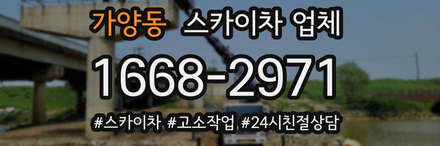 가양동 스카이차 업체