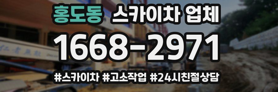 홍도동 스카이차 업체