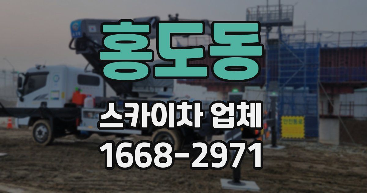 홍도동 스카이차 업체