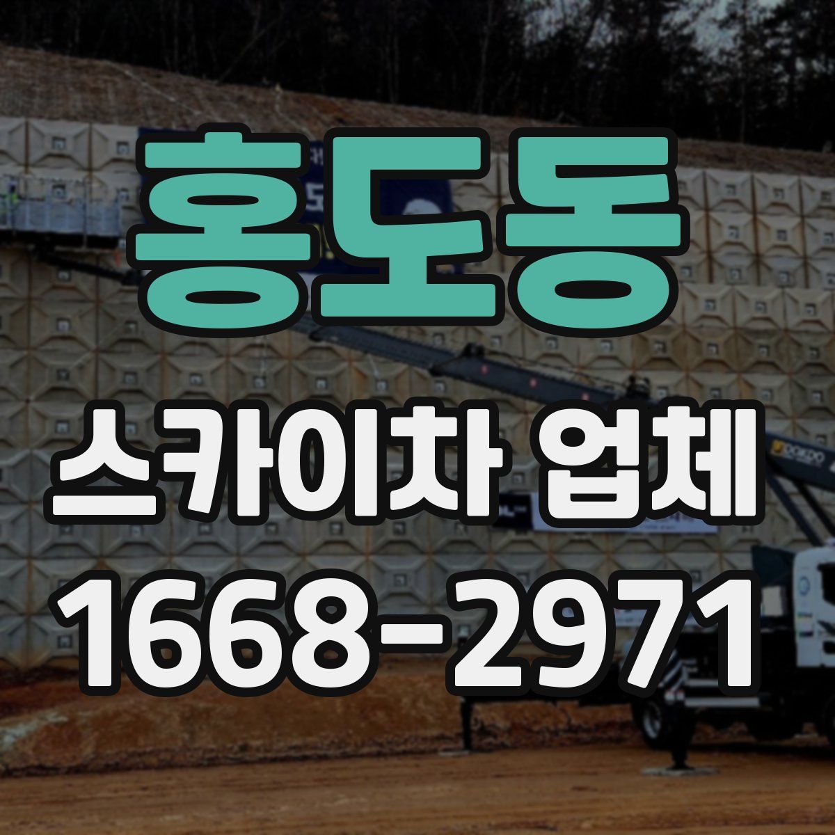 홍도동 스카이차 업체