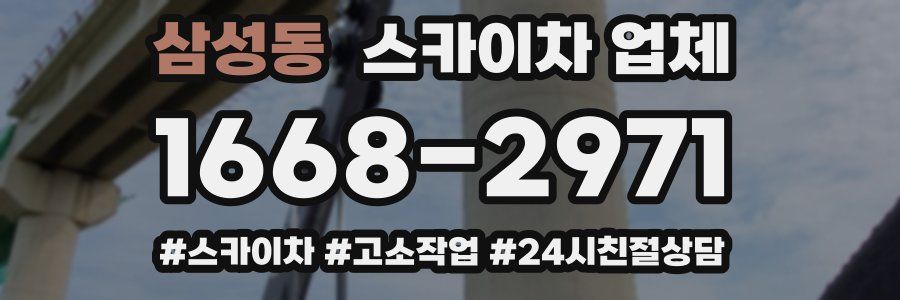 삼성동 스카이차 업체