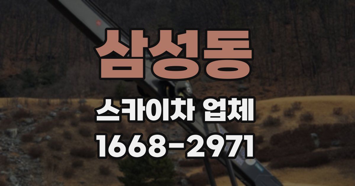 삼성동 스카이차 업체