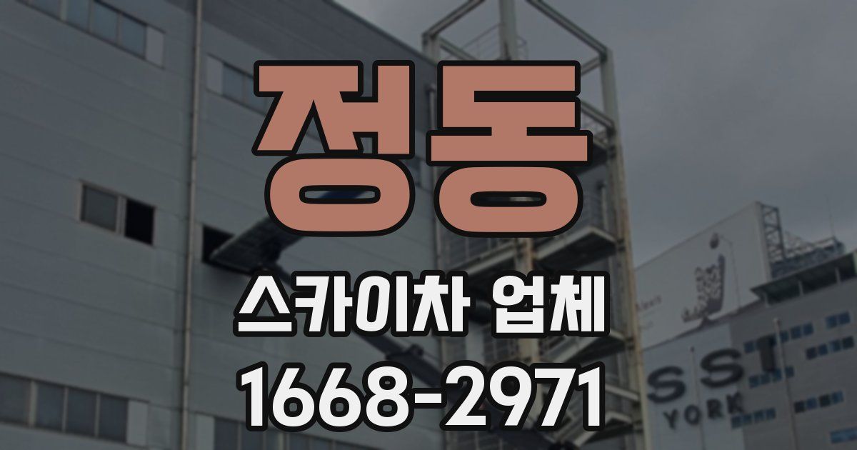 정동 스카이차 업체
