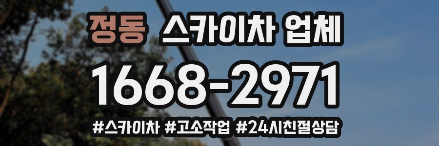정동 스카이차 업체