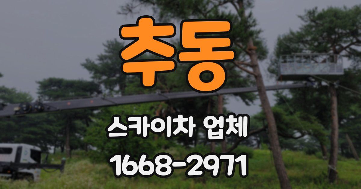 추동 스카이차 업체