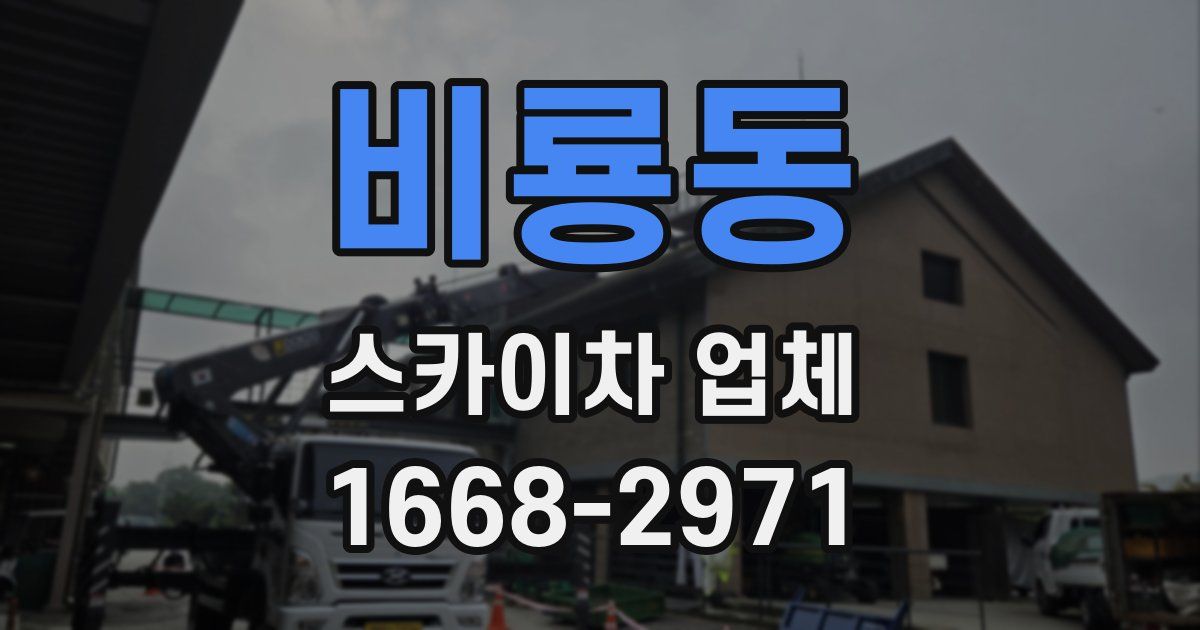 비룡동 스카이차 업체
