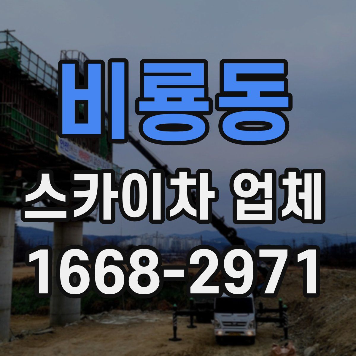 비룡동 스카이차 업체