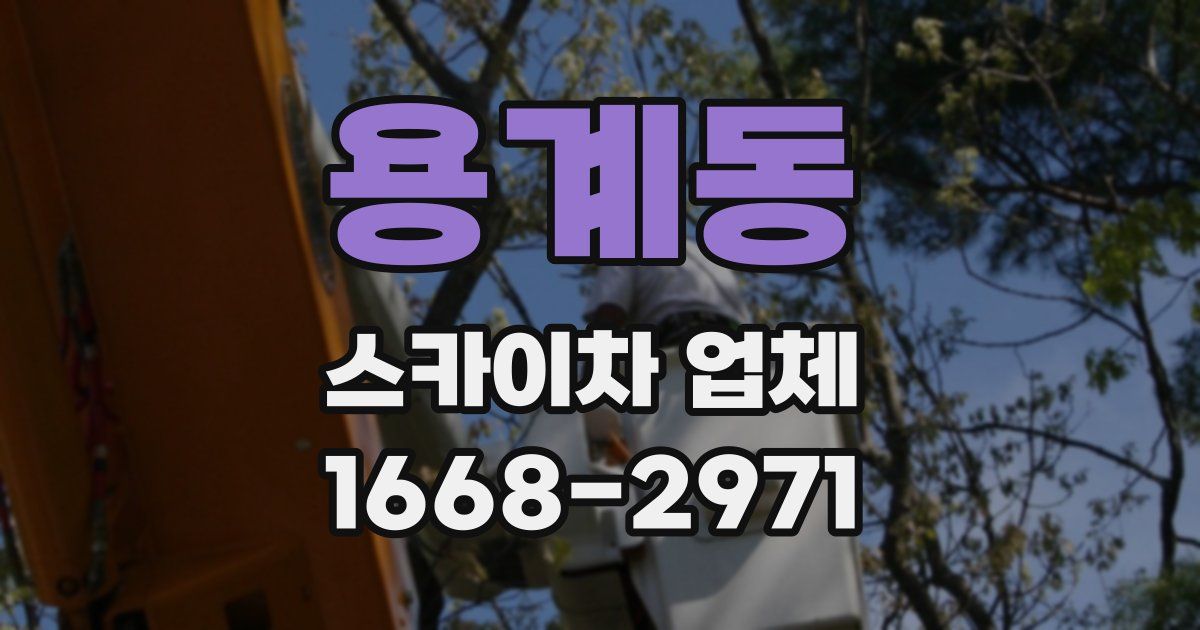 용계동 스카이차 업체