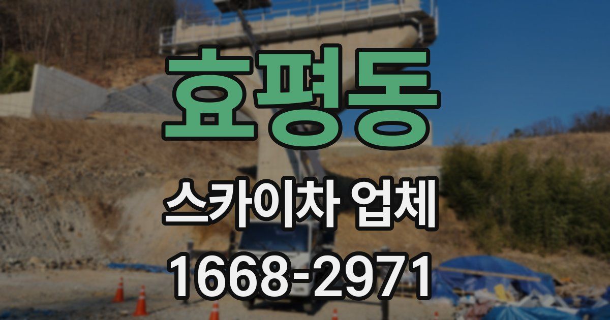 효평동 스카이차 업체