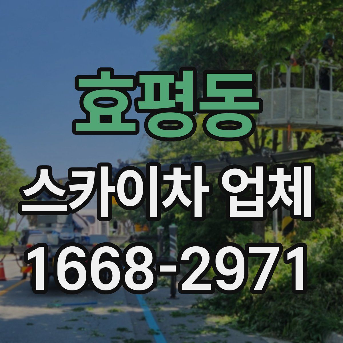 효평동 스카이차 업체