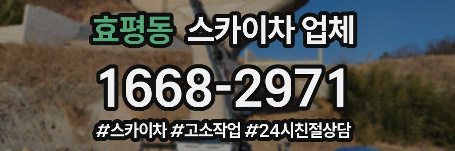 효평동 스카이차 업체