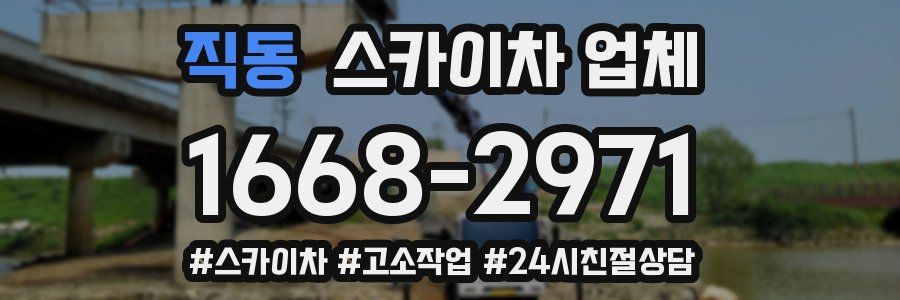 직동 스카이차 업체