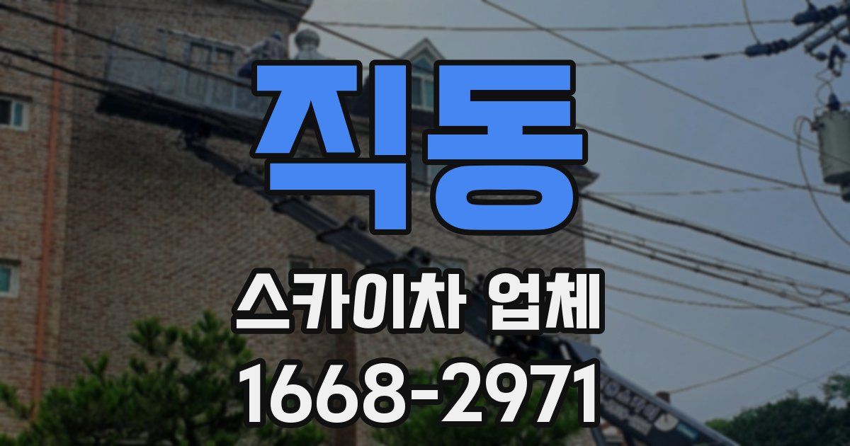 직동 스카이차 업체