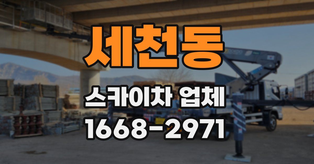 세천동 스카이차 업체