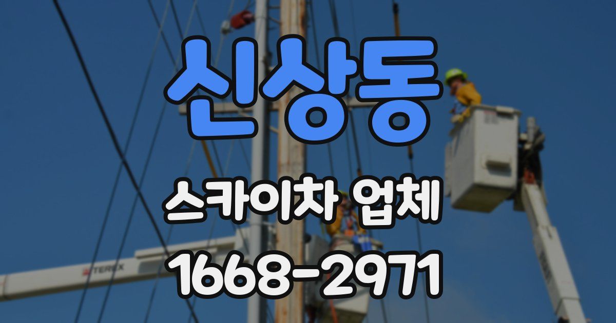 신상동 스카이차 업체