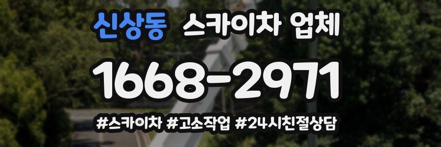 신상동 스카이차 업체