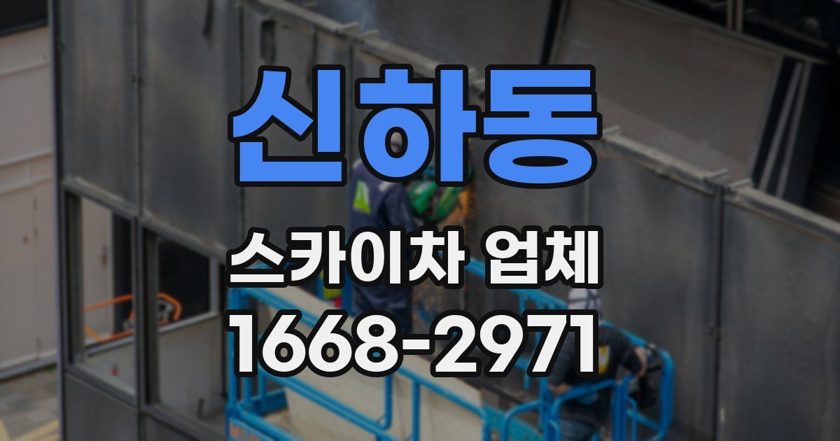 신하동 스카이차 업체