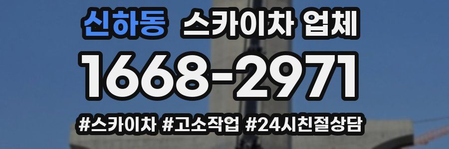 신하동 스카이차 업체