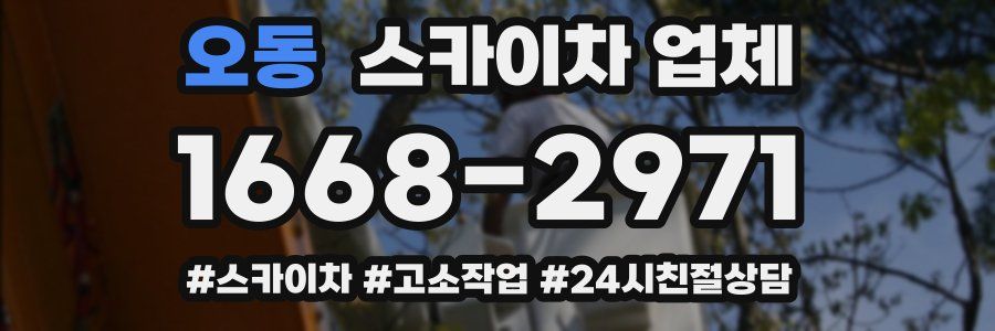 오동 스카이차 업체